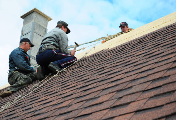 Best Roof Repair Services  in Frankfort, IN